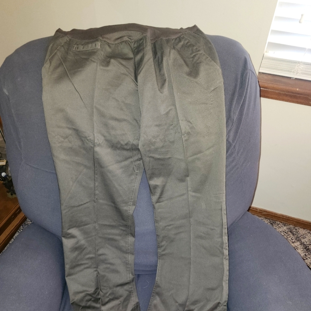 Liz Lange Maternity Pant Size 10 Green